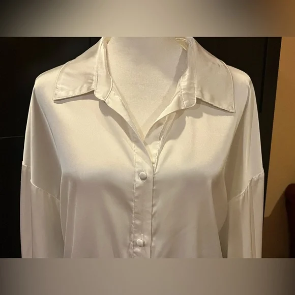 Anthropologie Hutch tie front satin blouse. Button down, lapel collar. Size 1X - Picture 7 of 12